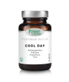 POWER HEALTH CLASSICS PLATINUM COOL DAY 30 TABS