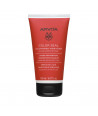 APIVITA COLOR SEAL CONDITIONER ΠΡΩΤΕΙΝΕΣ ΚΙΝΟΑ & ΜΕΛΙ 150ml