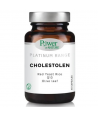 POWER HEALTH CLASSICS PLATINUM CHOLESTOLEN 40 CAPS