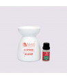 ALOE COLORS HO HO HO CERAMIC DIFFUSER & FRAGRANCE OIL