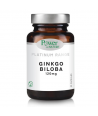 POWER HEALTH PLATINUM RANGE GINKGO BILOBA 120mg 30 CAPS