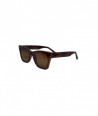 FROG SUNGLASSES GOLD AS 307 BROWN
