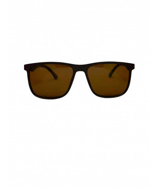 FROG SUNGLASSES AS 357 BROWN