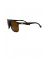 FROG SUNGLASSES AS 357 BROWN