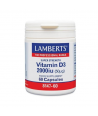 LAMBERTS VIT.D3 2000MG 60CAPS