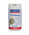 LAMBERTS CANDAWAY 60 TABS