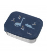 Fresk Dino Lunch Box