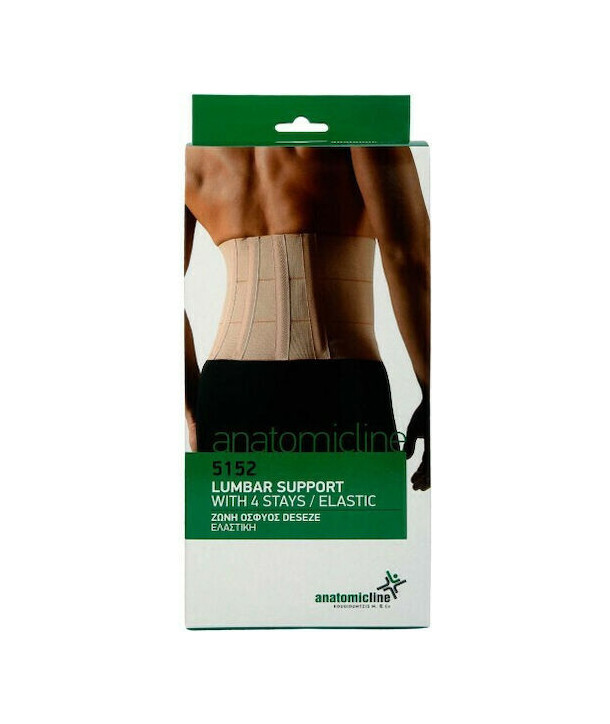ANATOMIC LINE 5152 LUMBAR SUPPORT WITH 4 STAYS