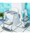 Babywise Kids Toilet Training Seat with Step Stool (Grey, Model: BW032)