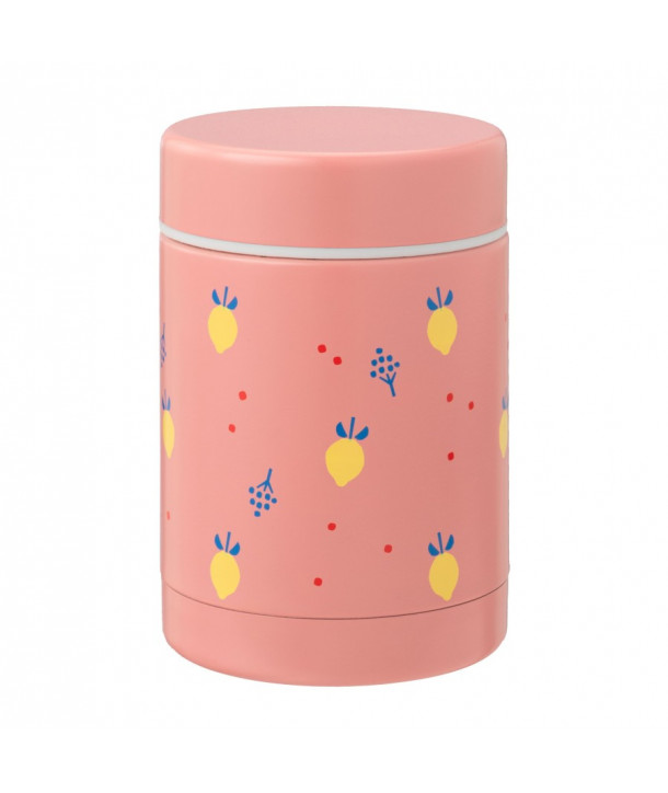 Fresk Stainless Steel Thermos Food Jar, 300ml