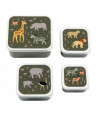 A little lovely company Lunch & Snack Box Savanna 4 PCS